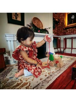 neemtoys - Multi-Color Neem Wooden Wheel Pull Dog Toy