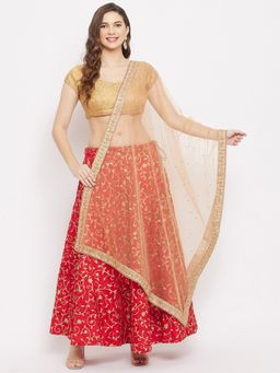 Clora Creation - Fawn Green Embellished Dupatta