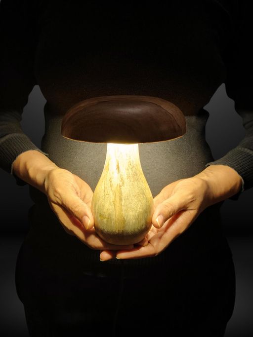 Akira Furnishings Mushroom Led Lamp