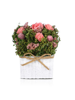 HomeTown - Aura Pe and Natural Dried Flowers Floral Arrangements in Pink Colour By Living Essence