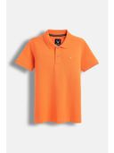Orange color option, Sold out