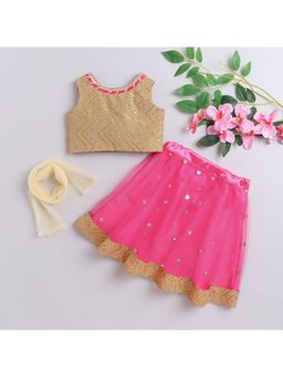 Many Frocks - Brown & Pink Sequin Embellished Choli with Dupatta & Lehenga