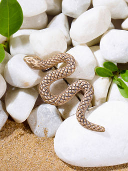 Cosa Nostraa - Rattlesnake Brooch