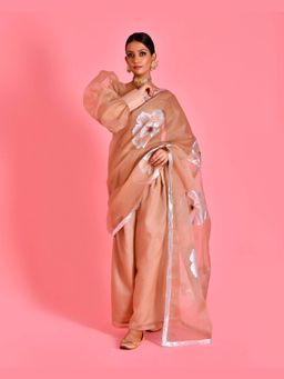 Bannhi - Brown Raas Hand Painted Pre-Draped Saree With Stitched Blouse