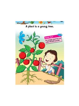 Pegasus - Plants & Trees My Knowledge Book