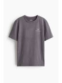 Grey color option, Currently selected