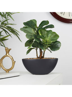 HomeTown - Ilana Faux Fiddle Ceramic Potted Plant 29 Cm in Green Colour