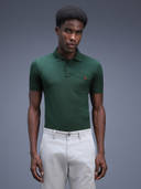 Green color option, Currently selected