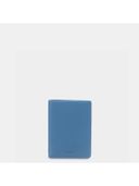 Blue color option, Currently selected