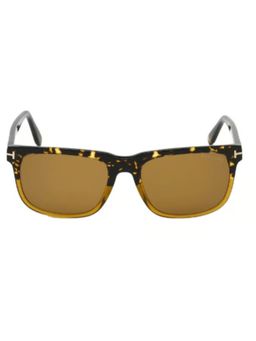 Tom Ford - Brown Lens Acetate Full Rim Men Sunglasses (56)