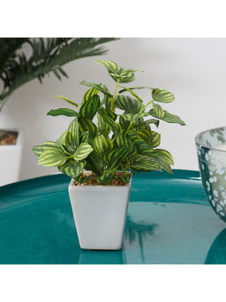 HomeTown - Ilana Faux Peperomia Ceramic Potted Plant 19 Cm in Green Colour