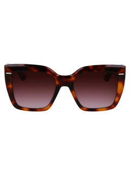 Calvin Klein - Demi Lens Rectangle Sunglass Demi Frame with UV Protected - Ck 23508 220 54 S