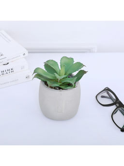 HomeTown - Human Face Bonsai, White