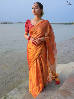 Suta - Gold Woven Tassels Saree without Blouse