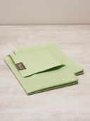 Green color option, Currently selected