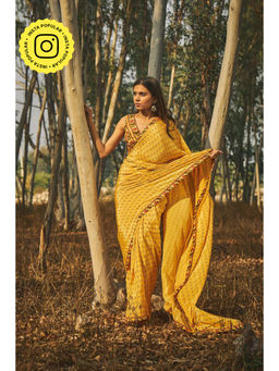 Baise Gaba - Santolina Crepe Saree With Unstitched Blouse