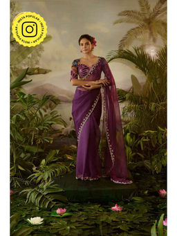 Baise Gaba - Gopi Saree with Stitched Blouse