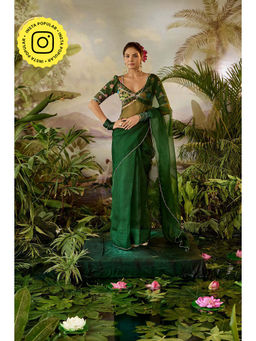 Baise Gaba - Taru Saree with Stitched Blouse