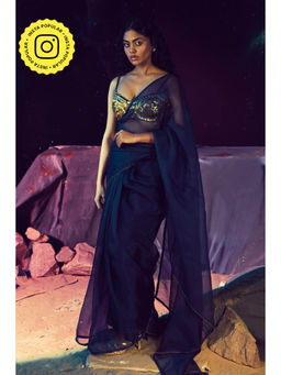 Baise Gaba - Stellar Saree with Stitched Blouse