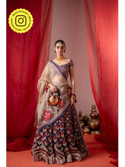 Baise Gaba - Kalshi Multicolor Lehenga with Blouse and Dupatta