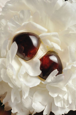 H&M - Women Brown Dome Earrings