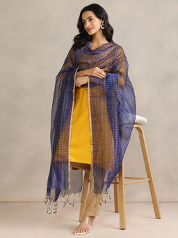 Fabindia - Women Blue Woven Dupatta