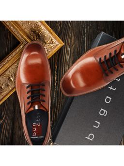 Bugatti - Merlo Brown Men Formal Derbies