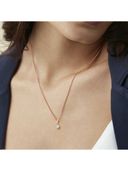 Rose Gold 1