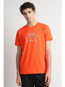 Orange color option, Currently selected