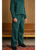 Green color option, Currently selected