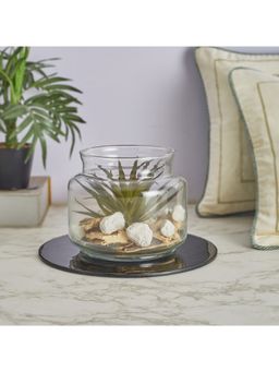 HomeTown - Fleur Glass Terranium 17 Cm in Green Colour