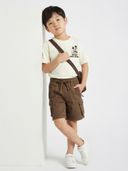 Brown color option, Currently selected