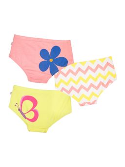 Plan B - Flower Garden Panties (Pack of 3)