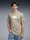 Olive color option, Sold out, Currently selected