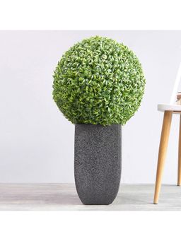 Pure Home + Living - Potted Mini Vanilla Ball Topiary