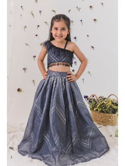 Chotibuti - Grey Organza Stripes Lehenga Set