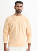 Peach color option, Currently selected
