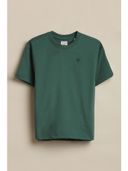 Green color option, Currently selected