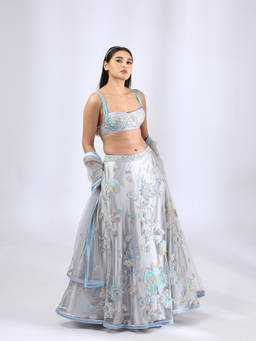 Neha Gursahani - Grey Fairytale Lehenga with Blouse and Dupatta