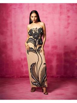 Neha Gursahani - Beige Embroidered Gown