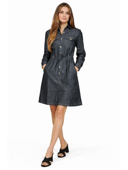 Tripursundari Fashion - Women's Grey Denim Shirt Dress with Belt