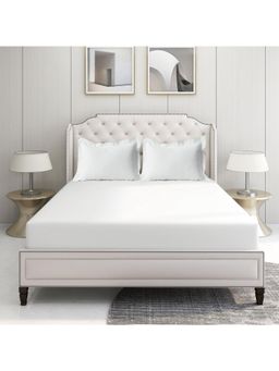 LANE LINEN - 500TC 100% Cotton Caligo Super King Fitted Bedsheet with 2 Pillow Covers - White