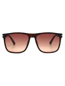 Tommy Hilfiger - Unisex Brown Lens Wayfarer Frame Sunglasses