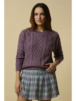 Allen Solly - Purple Self Design Regular Fit Sweater