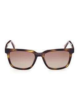 Guess - Brown Gradient Polarized Lens Square Sunglass Full Rim Shiny Brown Demi Frame (54)