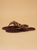 Brown color option, Currently selected