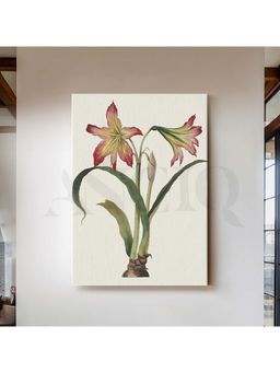 Anciq - Amaryllis Botanica Canvas Artwork for Dining Room or Garden Nook