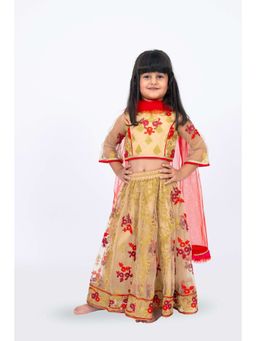 Elaisha - Girls Motifs Embroidered Choli with Lehenga & Dupatta (Set of 3)