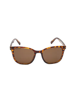 Fastrack - Brown Square Sunglasses (P418BR2V)