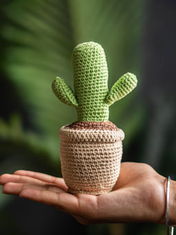 THE ZAPPY BOX - Crochet Cactus Pot